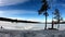 Pleasing nature landscape 4K with sky, cloud, and snow in a winter wonderland in europe surrounded with birch pine trees