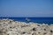 A pleasure motor boat carries tourists off the coast of the city of Rhodes, Greece