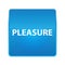 Pleasure shiny blue square button