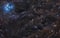 Pleiades Nebula in Surrounding Dust