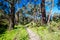 Plenty Gorge Parklands in Australia