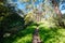 Plenty Gorge Parklands in Australia