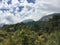 Plenty of greenery, wild forest, at the foot of the mountain