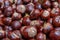 Plenty of horse chestnuts as winter food for horses and wild animals in a metal bucket are a decorative horse chestnut background