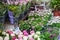Plenty houseplants on the Amsterdam Flower Market. Netherlands.