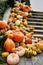 A plethora of pumpkins on the steps of the NYBG conservatory