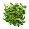 Plethora of Vibrant Green Arugula Spice Leaves Created With Generative AI Technology