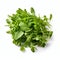 Plethora of Vibrant Green Arugula Spice Leaves Created With Generative AI Technology