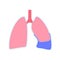 Pleural effusion poster