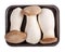 Pleurotus eryngii, king oyster mushrooms, king trumpets. Fresh raw edible  mushrooms on black foam food tray isolated on white.