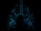 A plexus lung