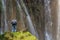 PLITVICE, CROATIA - MAY 24, 2019: Tourist at Veliki Slap waterfall Plitvice Lakes National Park, Croat