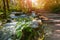 Plitvice lakes of Croatia - national park in autumn