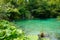 Plitvice Lakes National Park-Croatia. A Beautifull Pond on a sunny Summer afternoon