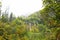 Plitvice lakes national Park, Croatia, cloudy day and fog.