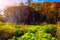 Plitvice lakes Plitvicka jezera national park, Croatia. Amazing autumn sunny landscape