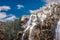 Plitvice waterfalls in Croatia