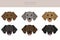 Plott hound clipart. Different poses, coat colors set