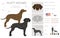 Plott hound clipart. Different poses, coat colors set