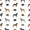 Plott hound seamless pattern. Different poses, coat colors set