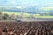 Ploughed agricultural field