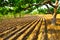 Ploughed farmland