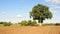 Ploughed Farmland