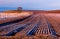 Ploughed farmland