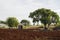 Ploughed FarmLand Of Red Soil