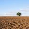 Ploughed Farmland Soil