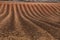 Ploughed field