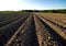 Ploughed field