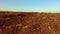 Ploughed field and blue the sky steadicam motion agriculture. Abstract perspective view to dark wide wet soil ways