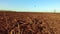 Ploughed field and blue the sky steadicam motion agriculture. Abstract perspective view to dark wide wet soil ways