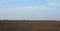 Ploughed field in spring prepared for sowing. Blue sky and forest