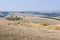 Ploughed Fields - Crete Senesi