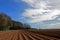 Ploughed and Furrowed Potato Field, Cawston Woods