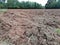 Ploughed soil in  farmlands landscape  in italy