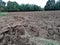 Ploughed soil in  farmlands landscape  in italy