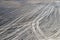 Plowed agricultural field, aerial view. Agricultural land. Background