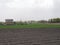 Plowed agricultural field. Lots of grass.