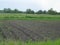 Plowed agricultural field. Lots of grass.