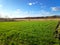 Plowed agricultural field ready for seed sowing. ploughed field with furrows, green grass