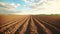 Plowed agricultural field under dramatic sky. AI Generative