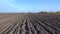 Plowed autumn farm field panorama