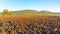 Plowed autumnal field with Palava Hills on the background, Southern Moravia, Czech Republic