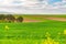 Plowed and cultivated farm fields landscape