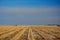 Plowed Farm Corn Field in Winter