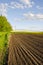 Plowed farm field in spring