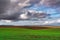 Plowed farm field with young green shoots